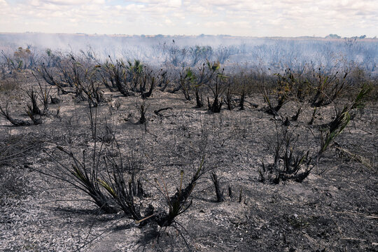 Wasteland remains smoldering with embers after wild fire burned through 