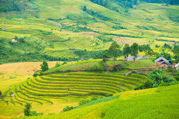 Rice fields on terraced of Mu Cang Chai, YenBai, Vietnam. Rice fields prepare the harvest at...