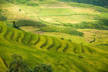 Amazing landscape in Northwest Vietnam. Terraced fields in Ta Xua, Bac Yen, Son La province, Vietnam. At an altitude of 2000m above sea level, this place is also known by the name: Clouds Paradise.