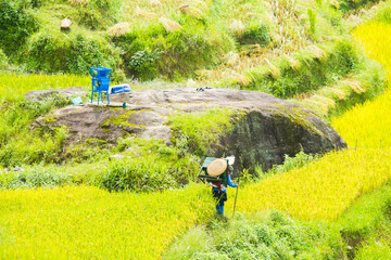 Amazing landscape in Northwest Vietnam. Terraced fields in Ta Xua, Bac Yen, Son La province, Vietnam. At an altitude of 2000m above sea level, this place is also known by the name: Clouds Paradise.