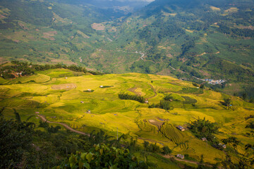 Fototapeta premium Amazing landscape in Northwest Vietnam. Terraced fields in Ta Xua, Bac Yen, Son La province, Vietnam. At an altitude of 2000m above sea level, this place is also known by the name: Clouds Paradise.