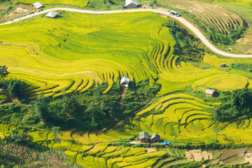 Amazing landscape in Northwest Vietnam. Terraced fields in Ta Xua, Bac Yen, Son La province,...