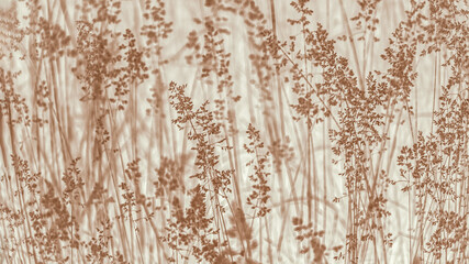 Fototapeta premium Brown abstract background with plant grass pattern, 16:9 panoramic
