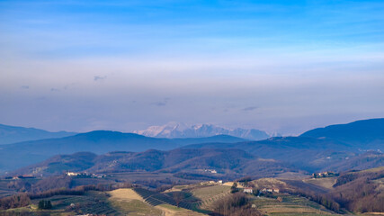 Fototapeta premium Spring sunset in the vineyards of Collio Friulano