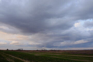Fototapeta na wymiar Dramatic pre-storm sky over the field. Spring landscape.