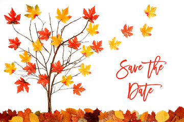 Branches Building Tree With Bright Colorful Leaf Decoration. Red And Yellow Leaves Flying Away Due...