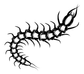 Decorative tattoo with centipede insect