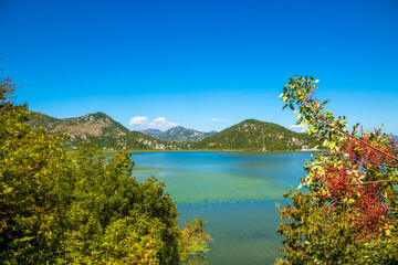Fototapeta na wymiar Exotic landscape, national park and large Skadar lake in Montenegro