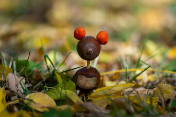 Organic animal made from brown acorns, marrons, magnolia soulangeana seeds and safety matches