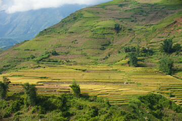 Amazing Rice fields on terraced in rainny seasont at TU LE Valley, Vietnam.Tu Le is a small valley but has beautiful terraces all year round. An attractive tourist destination 250km form Hanoi.