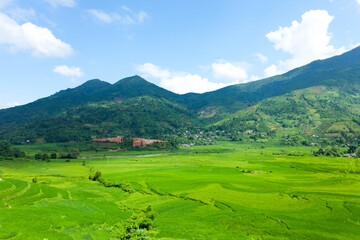 Obraz premium Laocai Vietnam Vietnam Paddy fields, terraced culture, Sapa, Vietnam