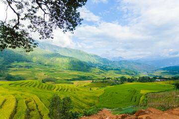Obraz premium Laocai Vietnam Vietnam Paddy fields, terraced culture, Sapa, Vietnam