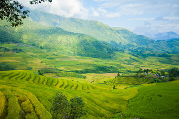 Laocai Vietnam  Vietnam Paddy fields, terraced culture, Sapa, Vietnam