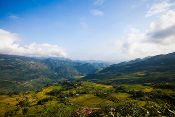 Fototapeta premium Laocai Vietnam Vietnam Paddy fields, terraced culture, Sapa, Vietnam