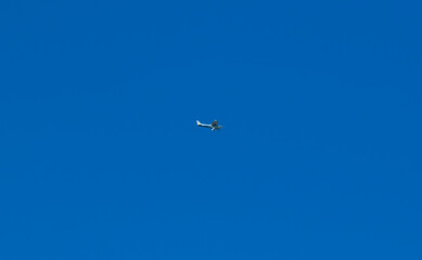 Small Aeroplane with flaps in air down coming in to land