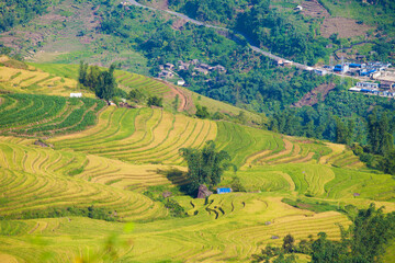 Fototapeta na wymiar Laocai Vietnam Vietnam Paddy fields, terraced culture, Sapa, Vietnam
