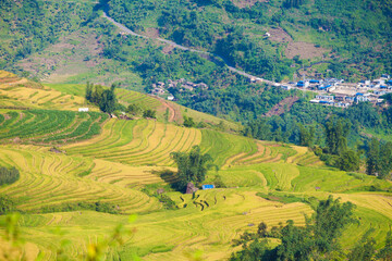 Fototapeta na wymiar Laocai Vietnam Vietnam Paddy fields, terraced culture, Sapa, Vietnam