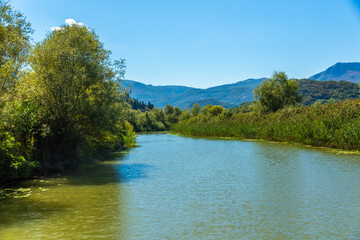 Fototapeta na wymiar Narrow shallow long river on a sunny day, Skadar Lake National Park in Montenegro