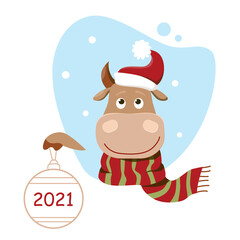 Vector funny cartoon cow in Santa hat. Cute bull holds a christmas ball. A symbol of 2021 year. Winter holiday background.
