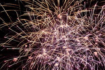 Colorful fireworks in the dark sky.