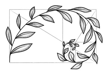 Floral fibonacci spiral. Sketch of  harmony concept, golden ratio. Vector illustration