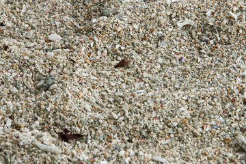 Colourful pebbles alongside the sea coast.