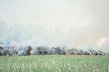 Fire in field after wheat harvest