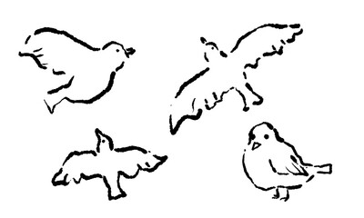 Fashionable bird vector line drawing