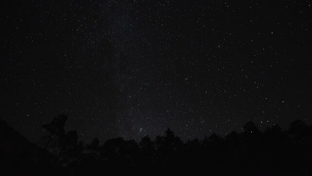 Timelapse of moving stars in night sky over trees. 4K