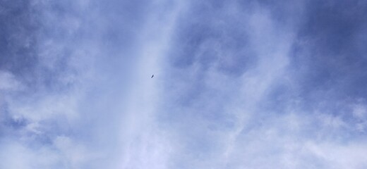 Clouds in the blue sky and a bird flying