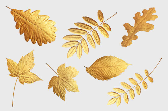 Golden flying autumn leaves of different shapes on light gray background. Autumn concept, fall background. Minimal floral design, autumn leaf frame. Golden twig. Autumn creative composition