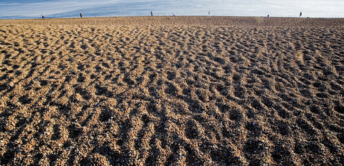 Chesil Beach Dorset England UK