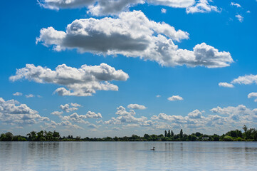 Beautiful blue cloudy sky above the Reeuwijkse Plassen in the Green Heart of the Netherlands, Europe. A grebe is swimming in the lake.