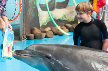 Dolphins is drawing a picture at the dolphin therapy session