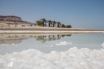The Dead sea