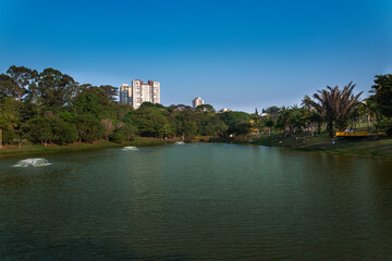 an afternoon in a public park