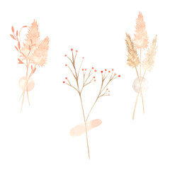 Watercolor bouquets of pampas grass and cappuccino-colored dried flowers. Great for printing, textile, web design, souvenirs and other creative ideas.