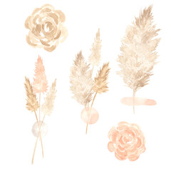 Watercolor bouquets of pampas grass and roses. Great for printing, textile, web design, souvenirs and other creative ideas.