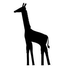 Isolated black figure of a giraffe. Vector illustration for icon and logo. African animal for banners and posters.