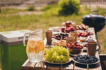 Photo of served breakfast picnic table family gathering ice bag plastic glasses grapes blueberry vegetables sandwich orange juice barbecue sunny summertime green home park backyard outside