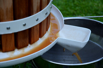 Making homemade cider juice from fallen apples pressing in a hand press with a screw children help...