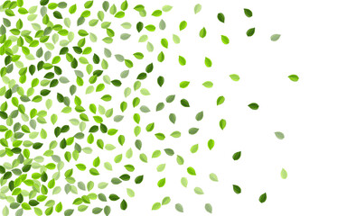 Forest Foliage Falling Vector Design. Realistic 