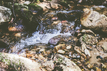 Mountain River Stream Through Summer Forest. Clear Water. Day In Nature. Beautiful Landscape