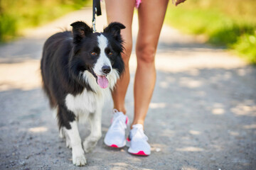 Midsection of woman strolling with her pet at leisure