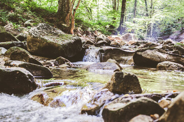 Mountain River Stream Through Summer Forest. Clear Water. Day In Nature. Beautiful Landscape