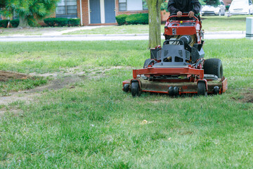 Obraz premium Close up of man using a lawn mower a gardener cutting grass by lawn mower