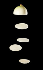 flying rings of sliced white onion on black background, ingredient for salad