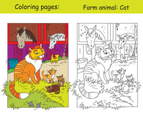 Fototapeta premium Vector coloring and color for children Cat