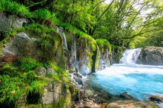 夏の菊池渓谷　黎明の滝　熊本県菊池市　Kikuchi Canyon in Summer Reimei Waterfall Kumamoto-ken Kikuchi city