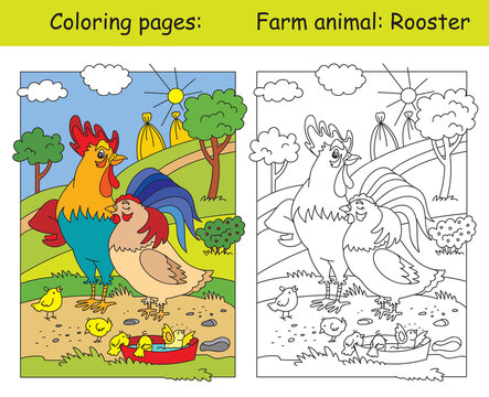 Vector coloring and color for children Rooster